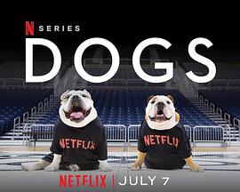 爱犬情深第二季海报剧照