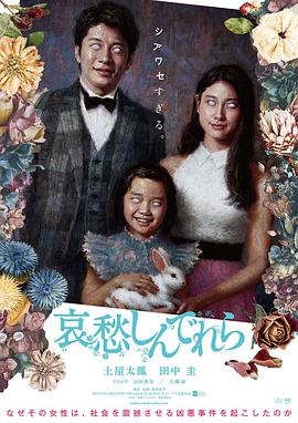 哀愁灰姑娘2021海报剧照