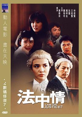 法中情海报剧照