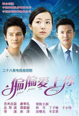 偏偏爱上你2012海报剧照