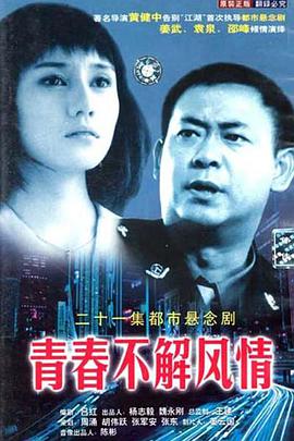 青春不解风情海报剧照