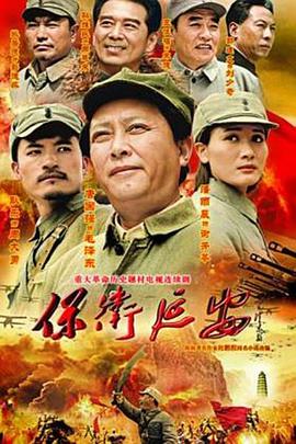 保卫延安海报剧照