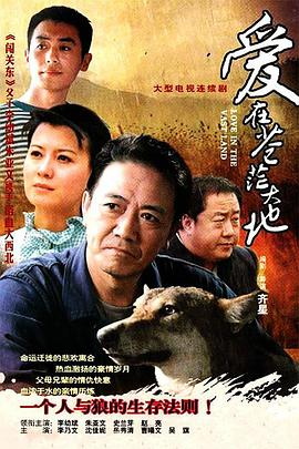 爱在苍茫大地海报剧照
