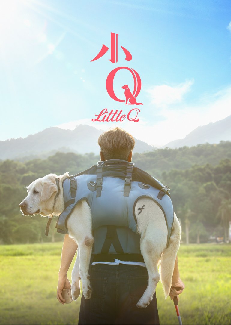 沙滩仔与周师奶粤语海报剧照