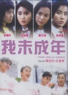 梦里的一千道墙海报剧照