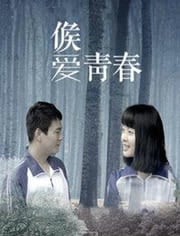 朝鲜精神科医师刘世丰海报剧照