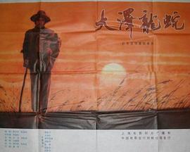 我家的医生海报剧照