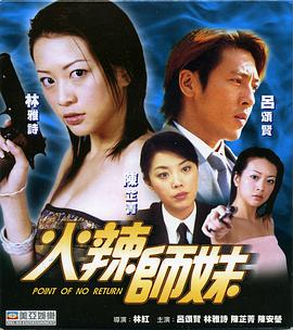 电脑奇侠重启海报剧照