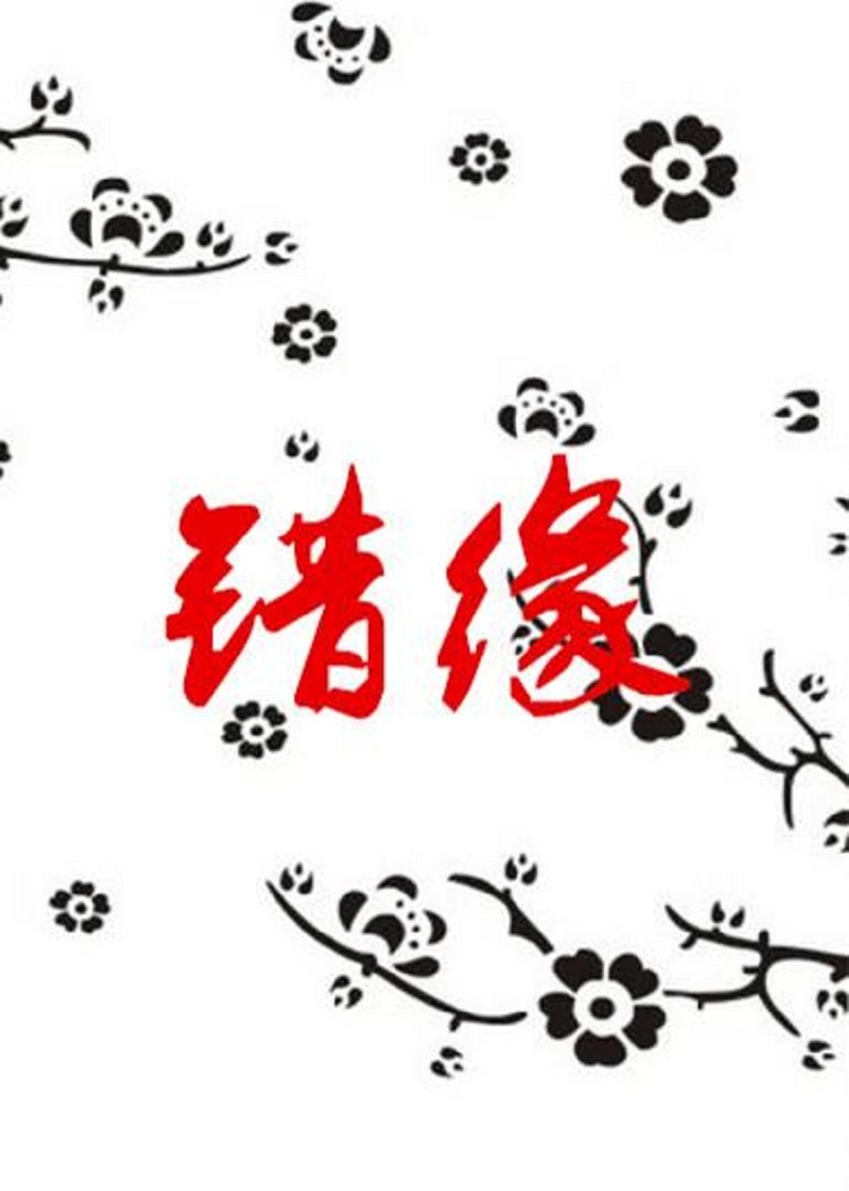 单身首尔海报剧照