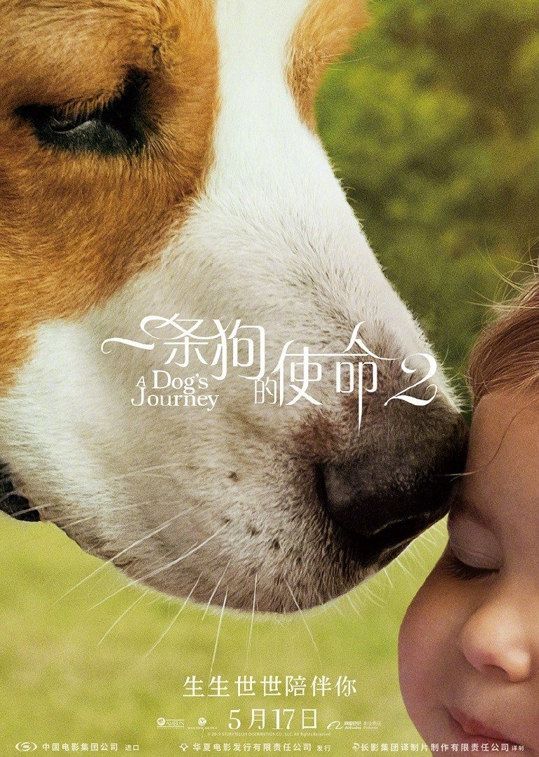 去里斯本的夜车海报剧照