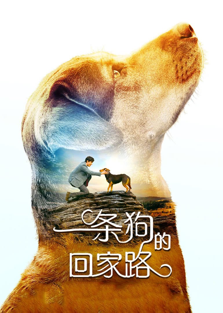 之后海报剧照