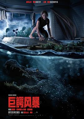 无畏之心2海报剧照