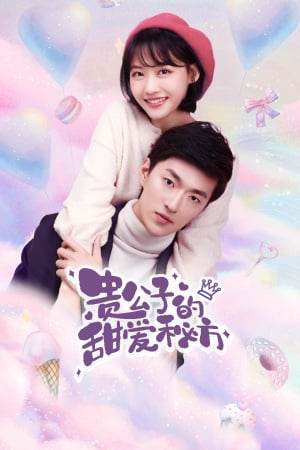 贵公子的甜爱秘方海报剧照