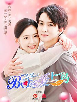 Boss爱上鸟海报剧照