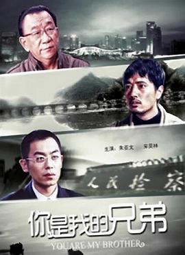 你是我的兄弟海报剧照