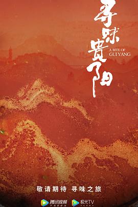 寻味贵阳海报剧照