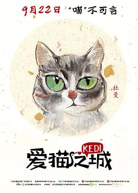 爱猫之城（普通话）海报剧照