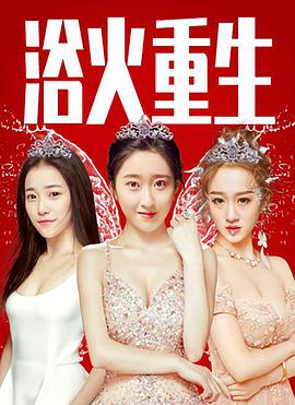 浴火重生海报剧照