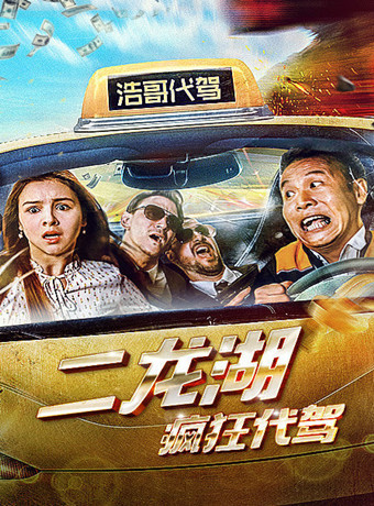 二龙湖疯狂代驾海报剧照