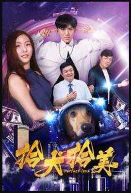拾犬拾美海报剧照