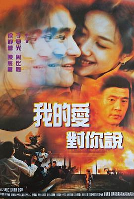 忽然丈夫 普通话海报剧照