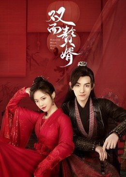 双面赘婿海报剧照