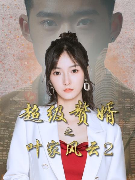 超级赘婿之叶家风云2海报剧照