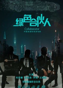 绿色合伙人海报剧照