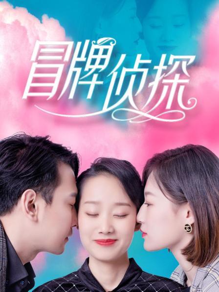 冒牌侦探海报剧照