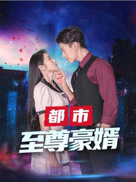 都市至尊豪婿海报剧照