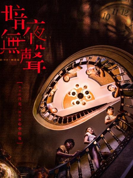 暗夜无声海报剧照