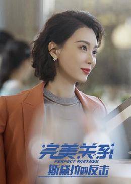 斯黛拉的反击海报剧照