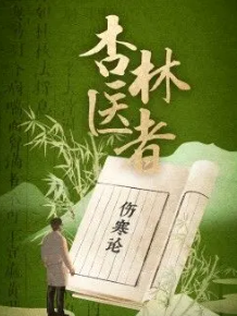 杏林医者海报剧照
