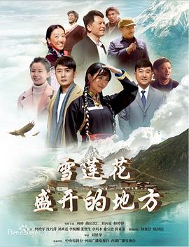 雪莲花盛开的地方海报剧照