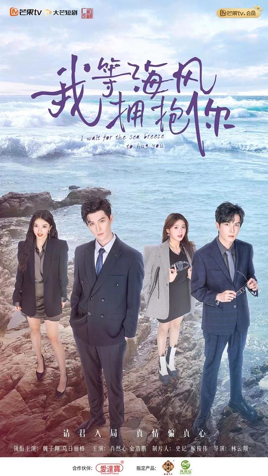 我等海风拥抱你海报剧照