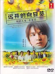 迟开的向日葵海报剧照