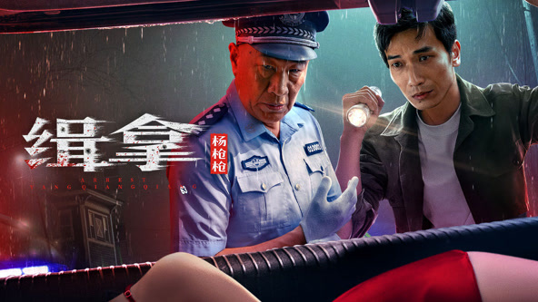 缉拿杨枪枪海报剧照