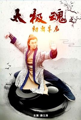 太极魂之初出茅庐海报剧照