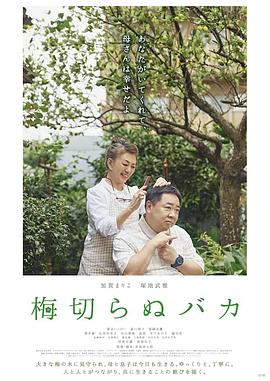 不砍梅树的傻瓜海报剧照