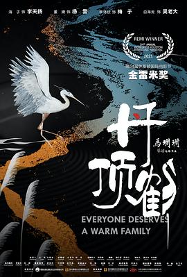 丹顶鹤海报剧照