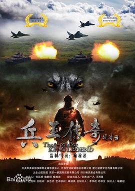 兵王传奇海报剧照