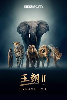 王朝第二季中配版海报剧照
