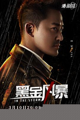 黑金风暴国语海报剧照