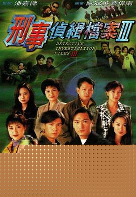 刑事侦缉档案3国语海报剧照