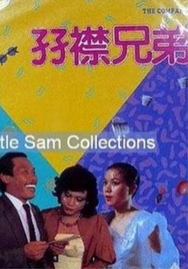 双襟兄弟海报剧照