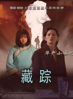 华严小镇2之藏踪海报剧照