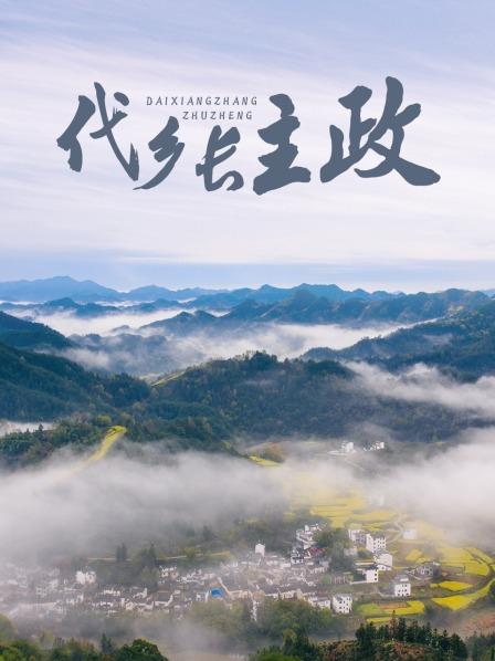 代乡长主政海报剧照