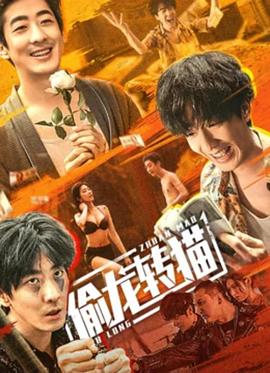 偷龙转猫海报剧照
