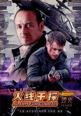 火线干探之毁灭国语海报剧照