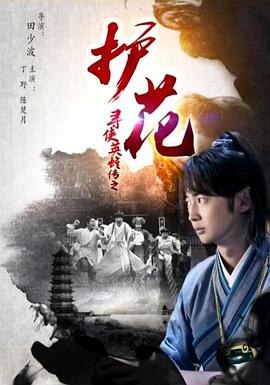 寻侠英雄传之护花海报剧照